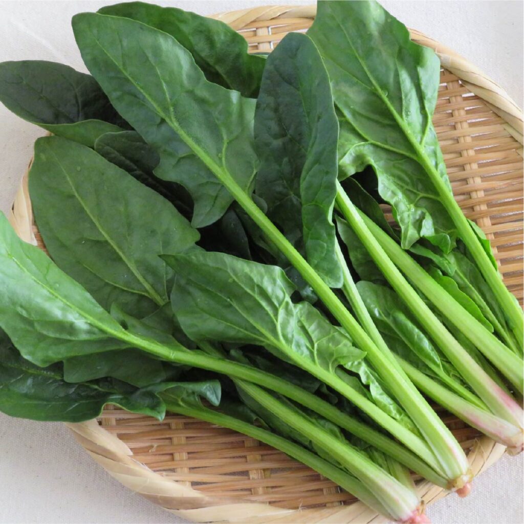 ほうれん草｜熊本の農家 吉野農産が育てる旬の野菜